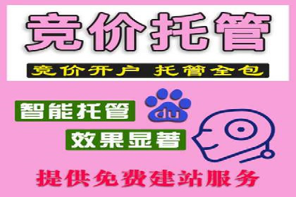 解析SEM外包公司如何优化广告投放策略